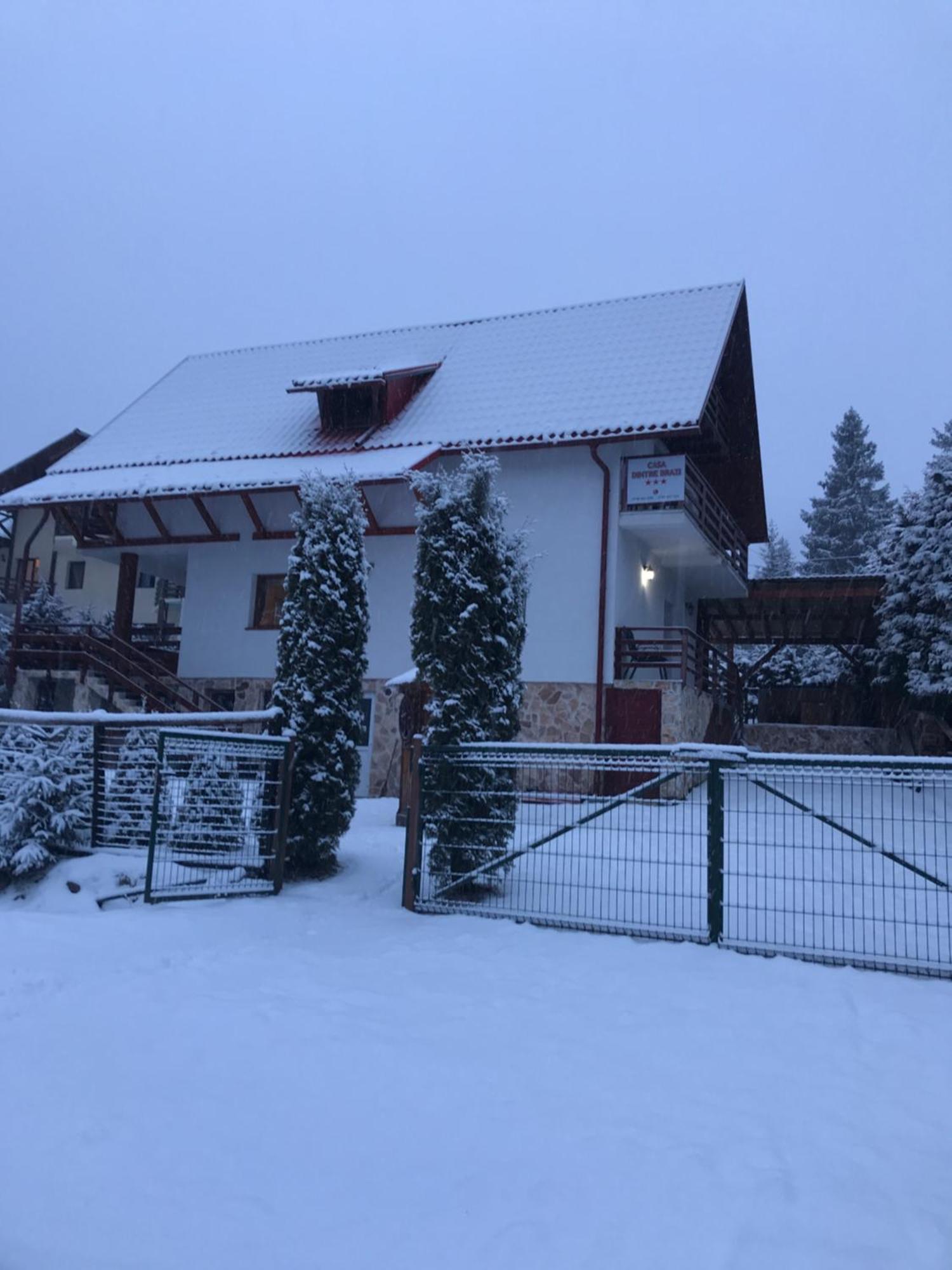 Casa dintre Brazi Villa Arieşeni Exterior foto